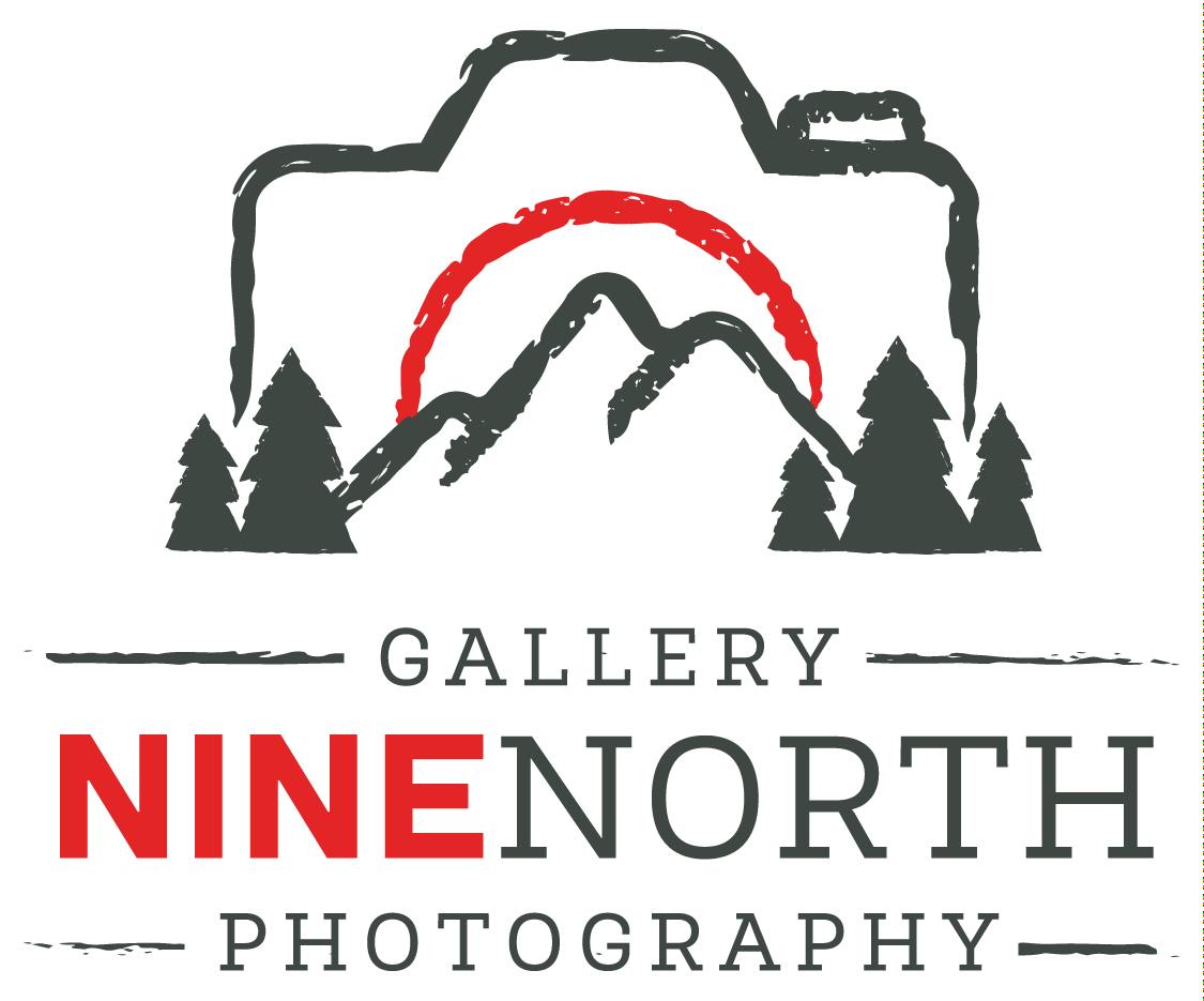 Gallery Nine North