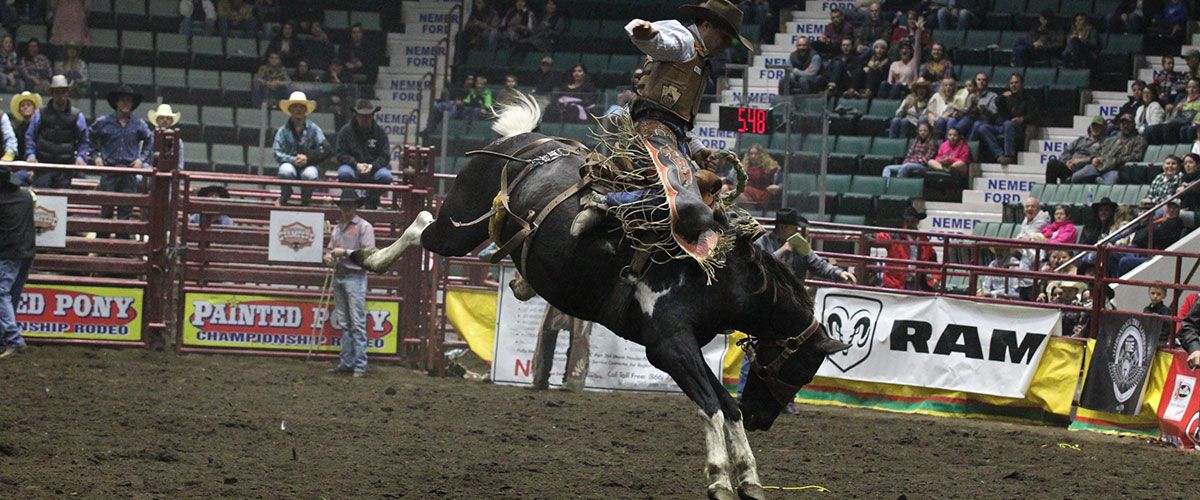 Saddle Bronc Riding